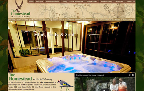 Website design, Website design, company Website Design, small business Website Design and Website at reasonable prices