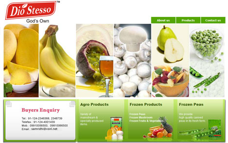 Top Web Maker, Top Web Designer, Top Web Artist, Top Web Company, Top Web Designer India, Top Web Designing Company